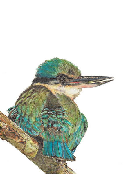 Kingfisher greeting card