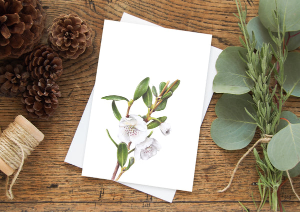 Leatherwood Flower greeting card