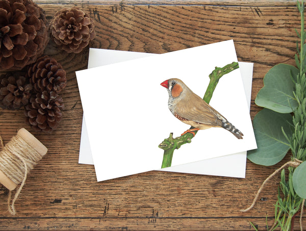Zebra Finch greeting card
