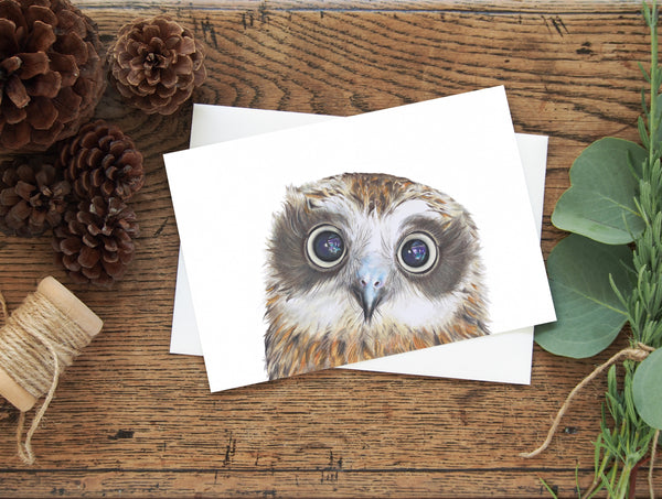 Boobook Owl greeting card