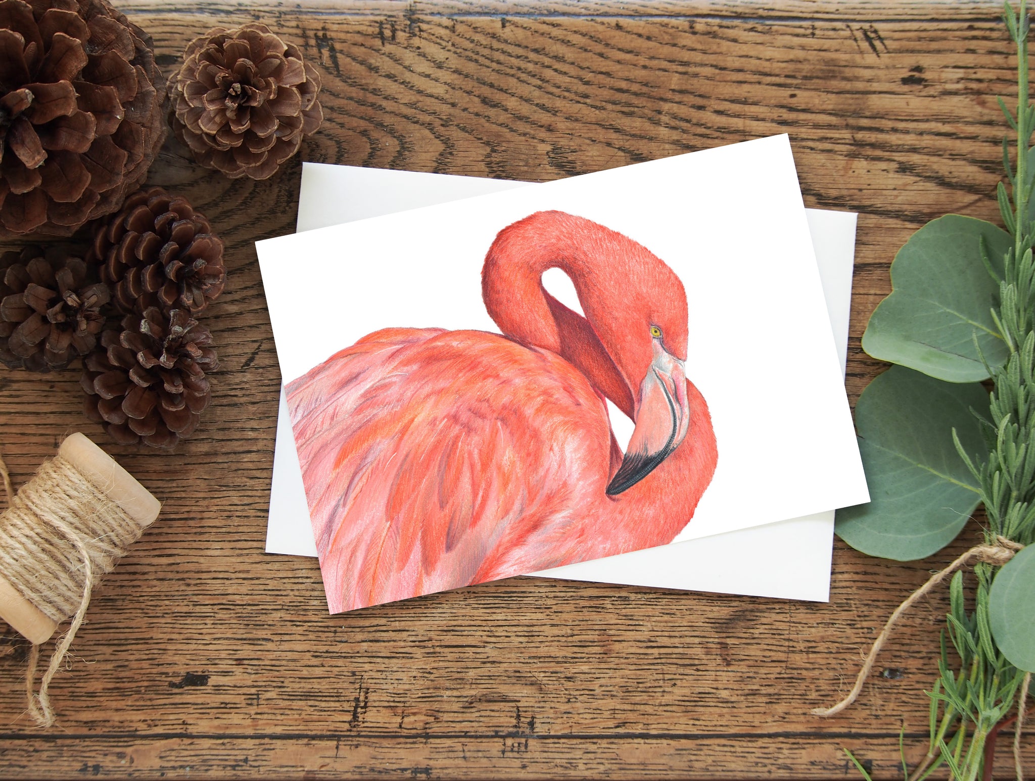 Flamingo greeting card