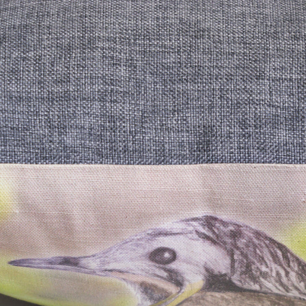 wattlebird cushion cover